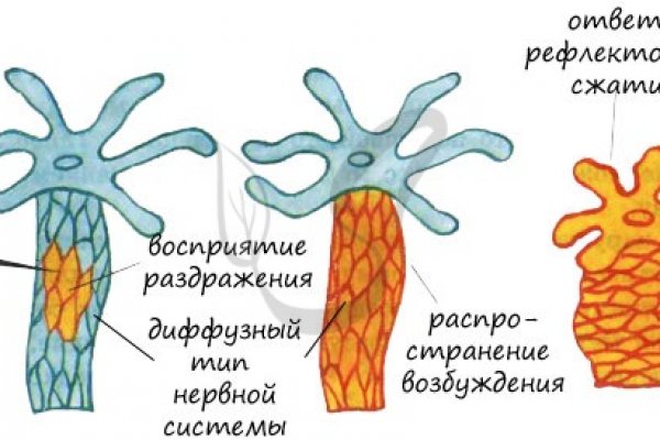 Работает ли кракен